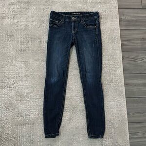 Express Lowrise Jeans